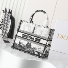 Christian Dior Shopping Bags